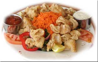 Fried Calamari