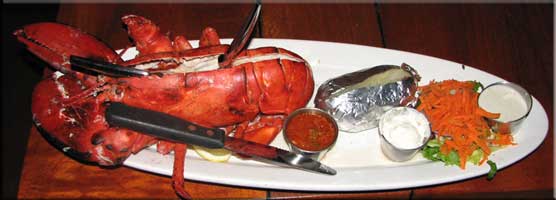 Maine lobster