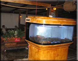 Maine lobsters in front, Caribbean lobsters in the middle, happy patrons on the waterfront